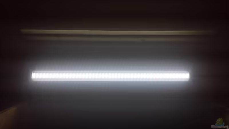 LED im Betrieb  von Lucky3310 (29)