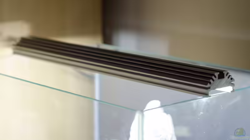 LED im Detail... von Julian H. (13)