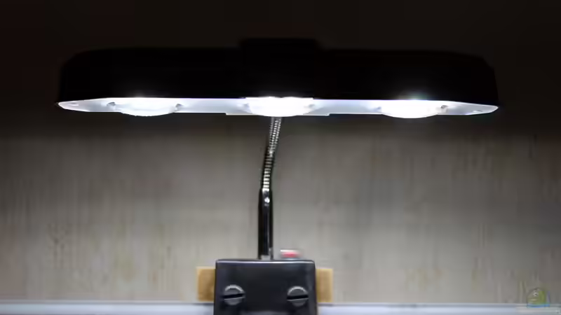 LED KLemmleuchte von SouthAmerica (44)