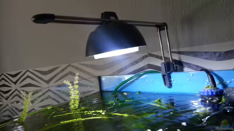 LED Lampe von Zohan (15)