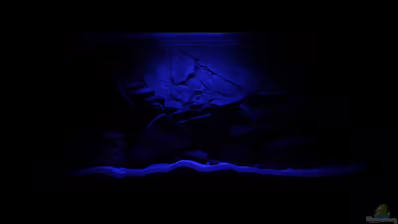 LED-Leiste einstellbar mit einer Spannung von 3V-12V von MuBu (6)