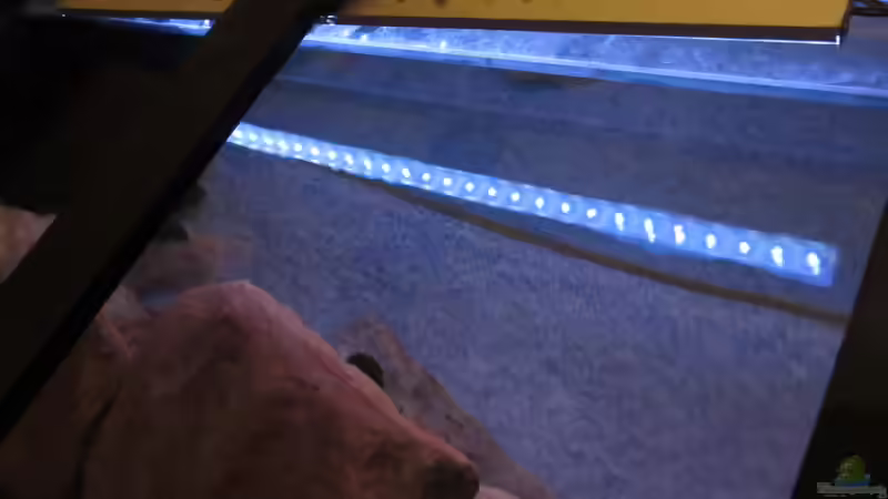 LED Leiste im Aluprofil IP67 von aquamika (17)