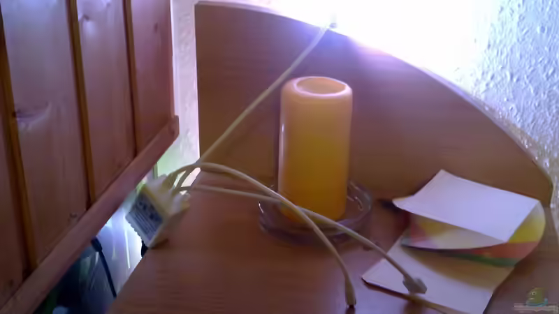 LED LEISTE Sensor mit 2 Steckplätze für 2 Leisten von Antonio Di Simone (14)