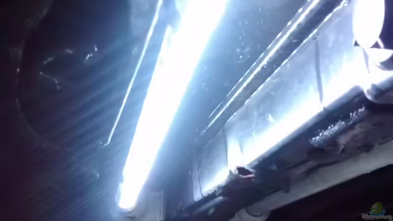 LED-Leiste von Paul8 (11)