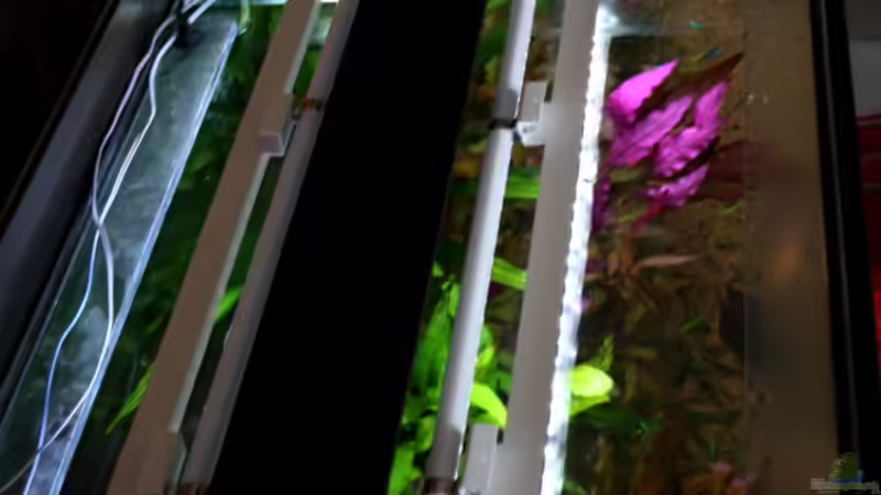 ***Led-Leisten, 4 x 70cm, angeclipst an die Leuchtstoffröhren****** von Sue (39)