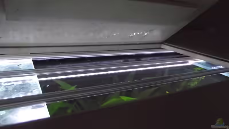 LED Leisten 5050 smd LEDs von Dr. Manhattan (28)