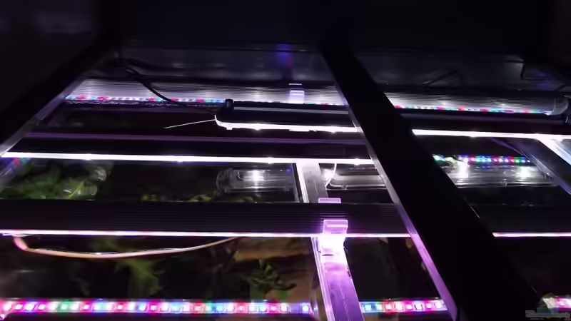 LED Leisten Arcadia und Tropic Marin SunaEco von Dr. Manhattan (37)