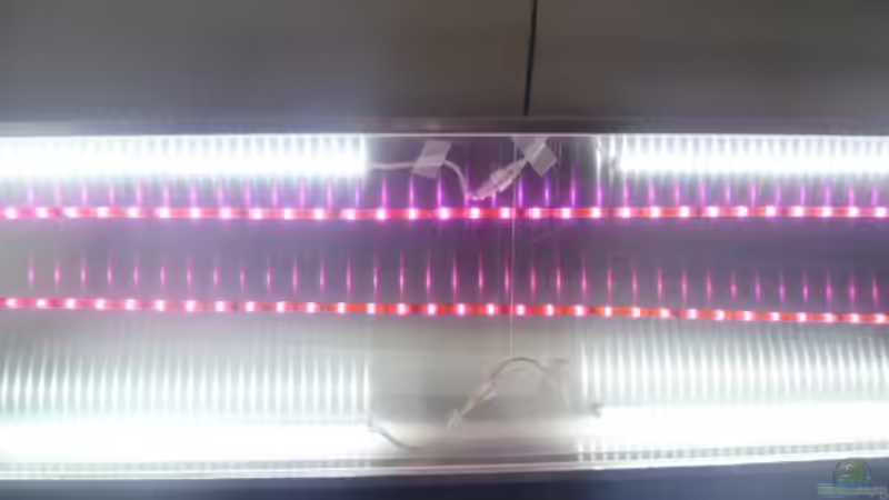 LED Leuchtkasten von da Dida (23)