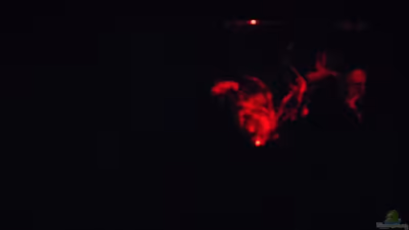 Led Leute mit Blubberbläschen, wechselnde Farben von Miss Kasimir (23)