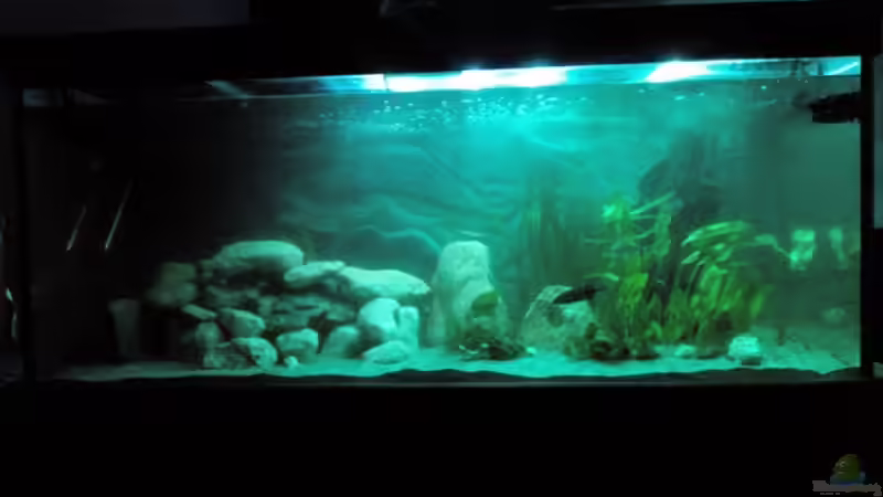 LED Licht komplette Ansicht von Marcel Wagner (13)