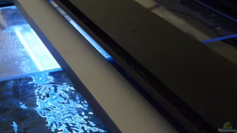 LED Lumlight   von Steffen S. (25)