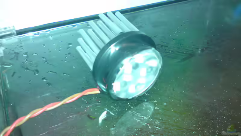 LED Modul 4x2W Neutralweiß... von Aquamaster (8)