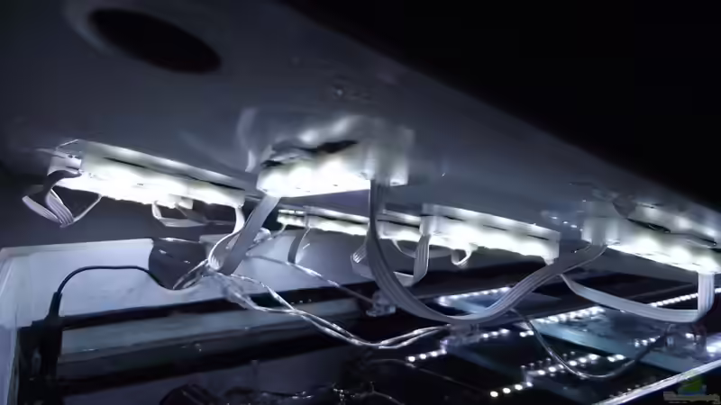 LED Module 5050 3 Chip smd LEDs von Dr. Manhattan (27)