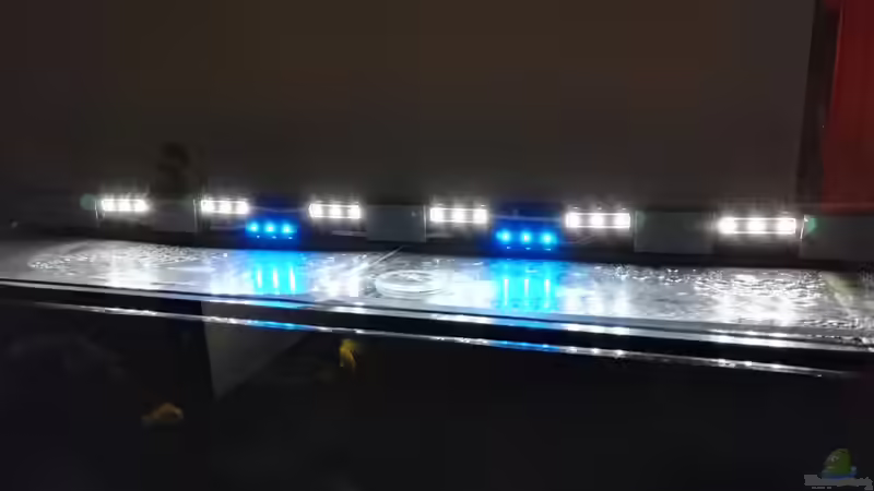 LED Module IP 68 kaltweiß und blau Marke Eigenbau. Stromverbrauch ca.  6 Watt   von Guido Studtrucker (22)