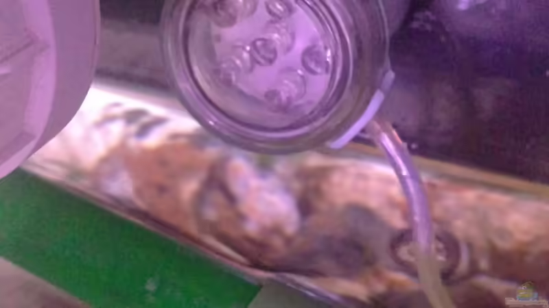 LED Mondlicht von Capitan Hook (20)