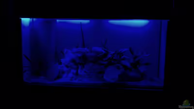 LED Nachtlicht (leider sehr verfälscht) alt von Bas-ti (2)