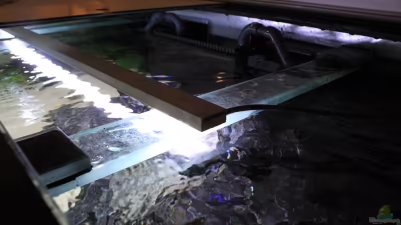 LED RGB Leiste von Lumlight  von Mbuna_Memo (16)