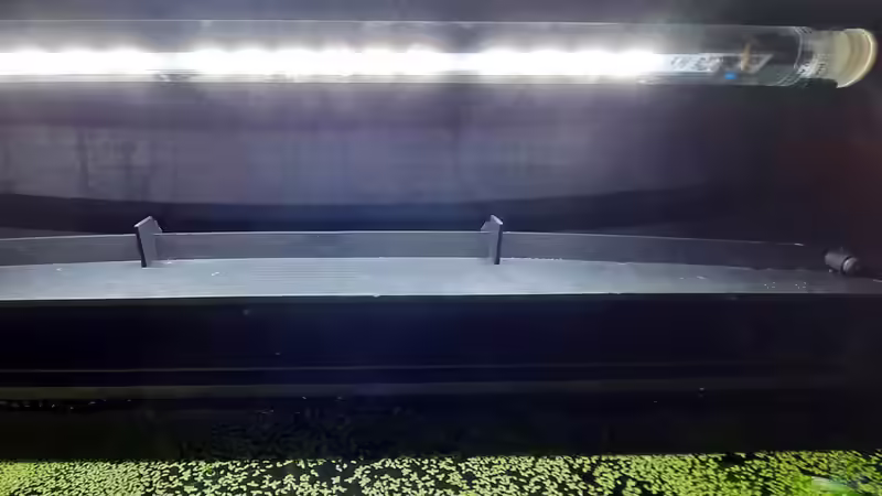 Led Röhre im Deckel von okefenokee (36)