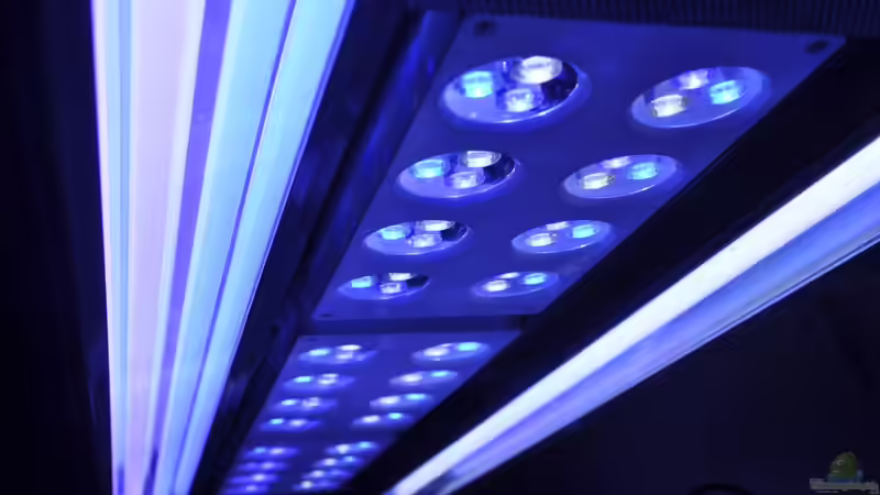 LED statt HQI Brenner von Torsten Nikolaus (8)