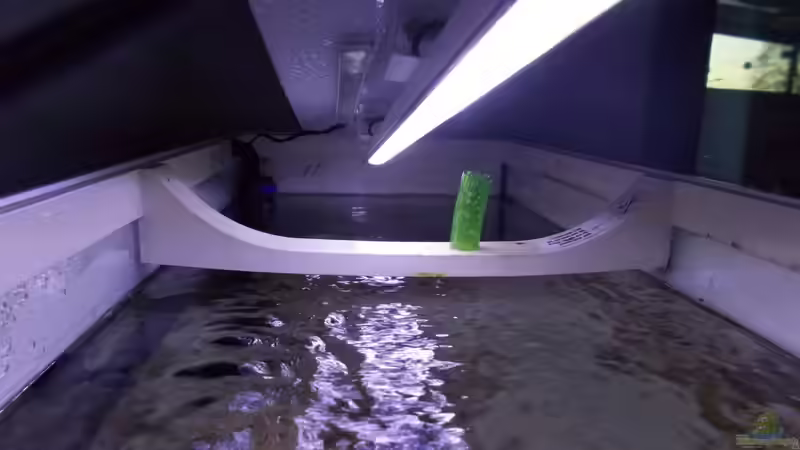 Led Streifen und links Led Mondlicht von matze81 (14)