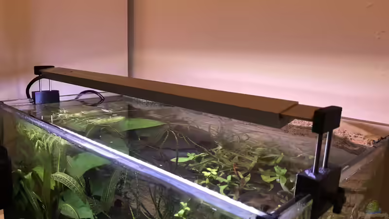 LED System, Scaping-Light Baisc mit neuem SLB-Variohalter von Tim1979 (34)