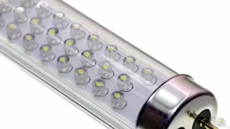 LED UV Röhren Beleuchtung