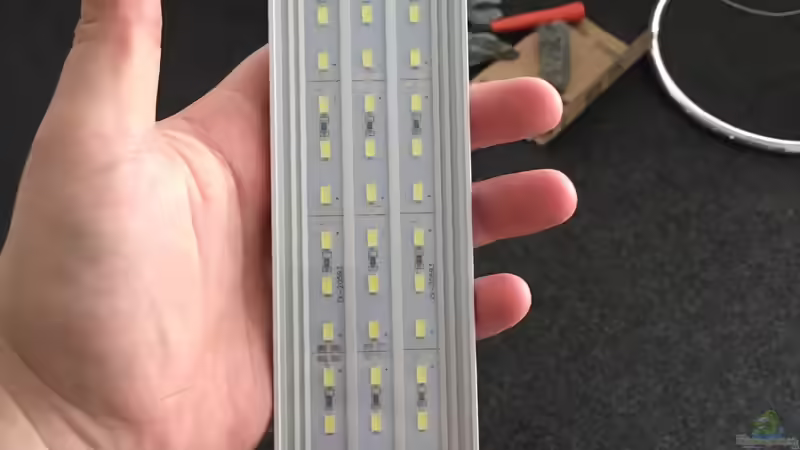 LED von Ayahuasca (12)