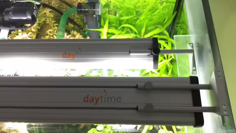 LED von Daytime. Hinten Eco und vorne Cluster von Sascha H. (14)