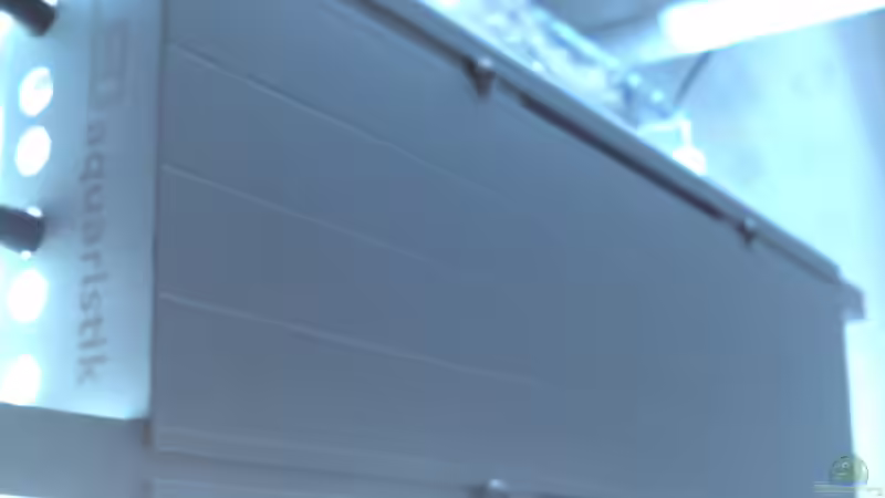 LED von Kulleraugen-Fan (3)