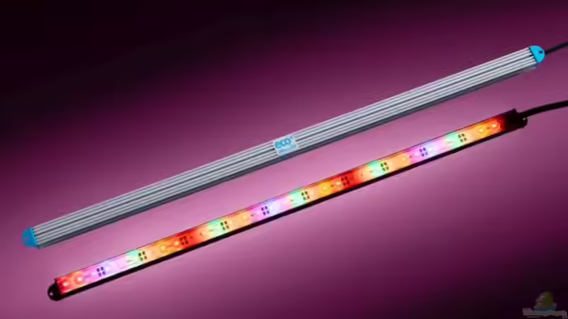 LEDaquaristik informiert: Pflanzenwachstum im Aquarium