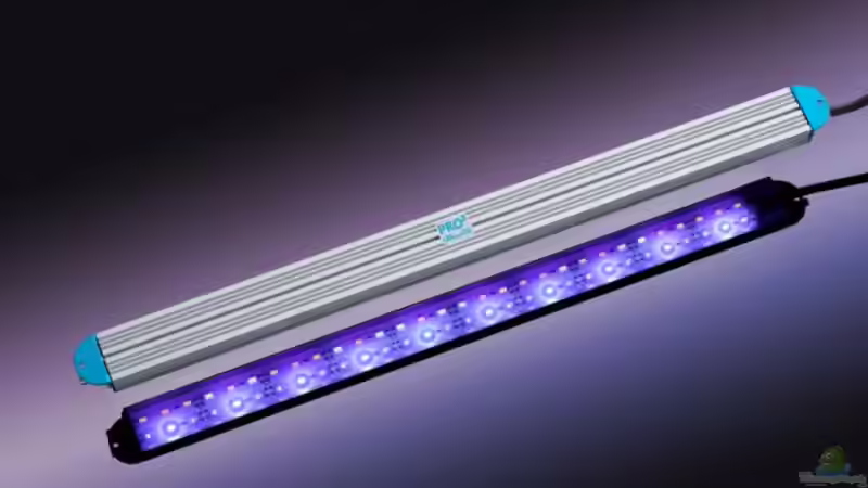 LEDaquaristik informiert: Pflanzenwachstum im Aquarium