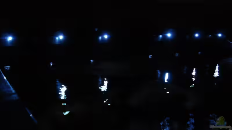 Led`s Beckenrand - Nacht von .uschi (38)