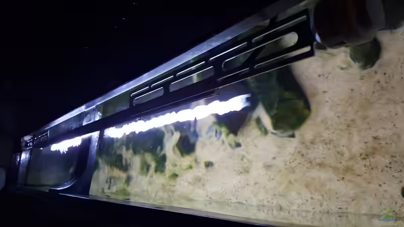 Ledstripe 80cm  von Ebi (5)