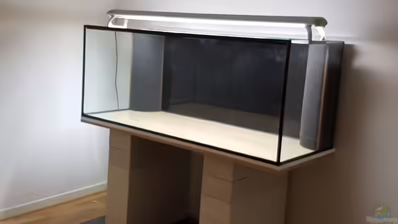 leer von naturalR (3)