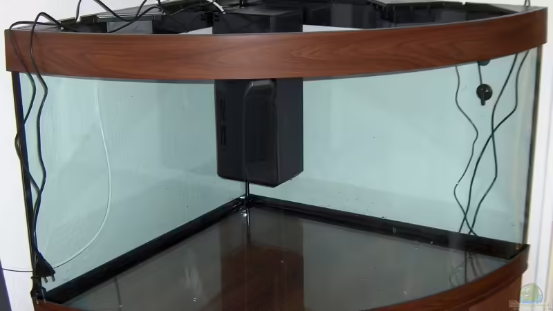 Leeres Aquarium von Der Siems (2)