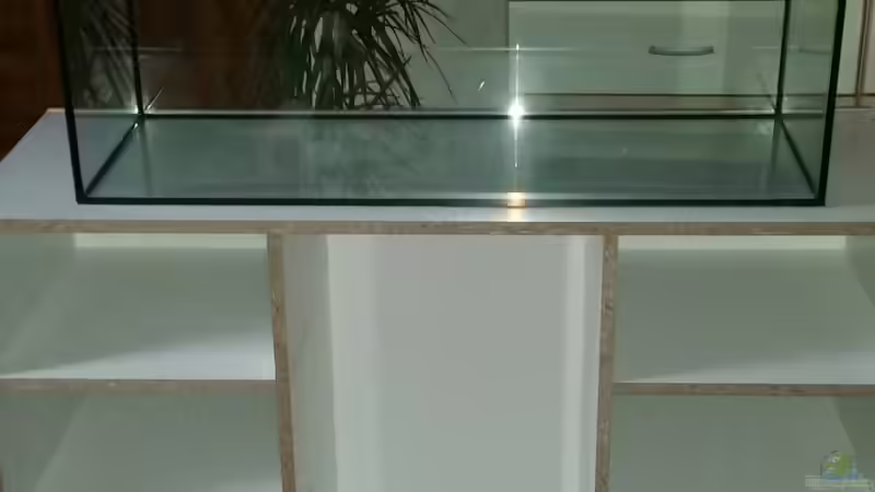 leeres Aquarium von Oli 1 (2)
