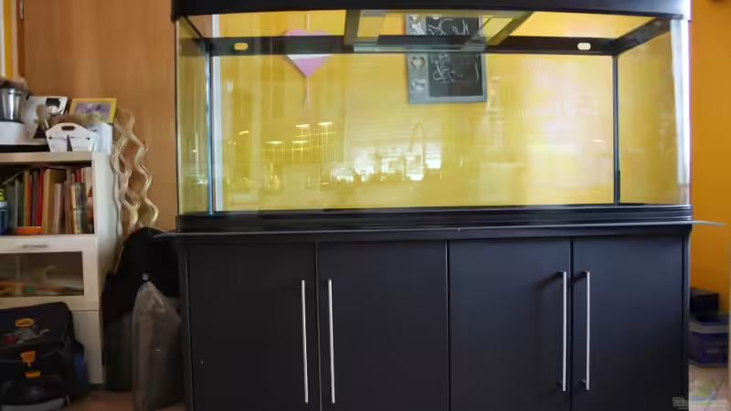 Leeres Becken, ohne Abdeckung von wolle04 (7)