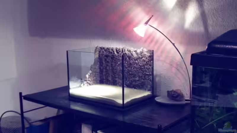 leeres Becken mit alter Leuchte von Astrid Stahn (5)