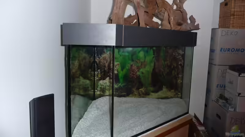 leeres Becken Seitenansicht von mihä (3)