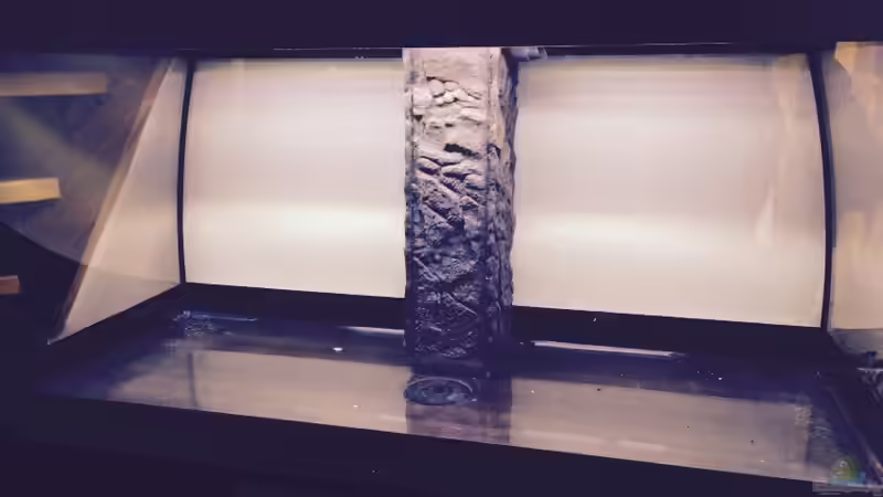 Leeres Becken von dennel (8)