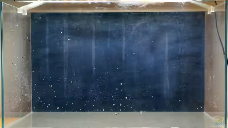 Leeres Becken von Micha... (2)