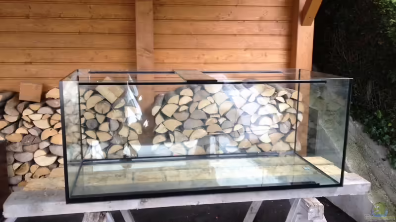 leeres Becken von Thomas S-H (3)