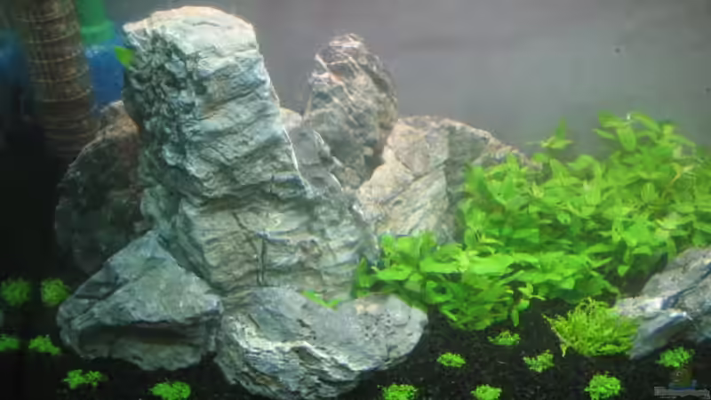 left side 26.07.11 von Namor Rellek (6)