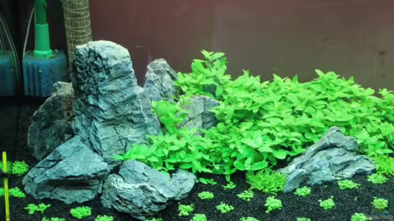 left side 30.07.11 von Namor Rellek (2)