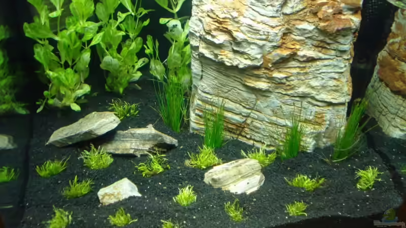 Leicht schräge Frontansicht des Nano Cube´s von David Weidenbacher (10)