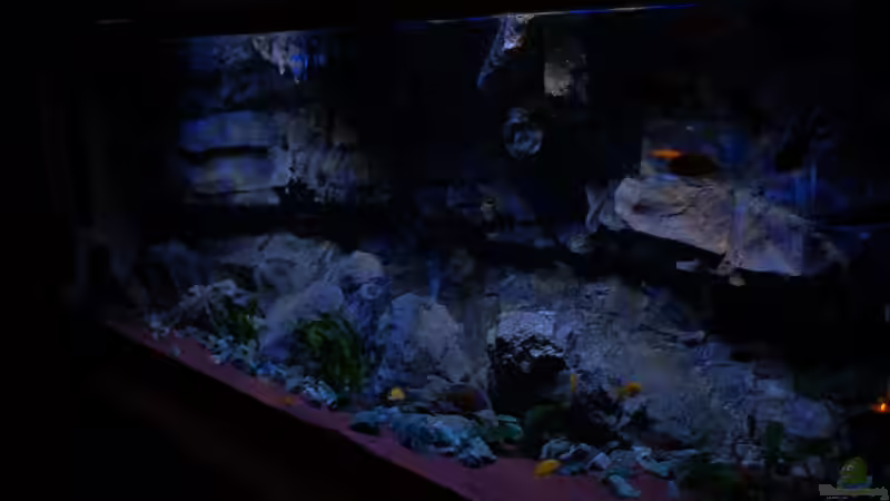 Leicht Seitlich von Frank Hopp (13)