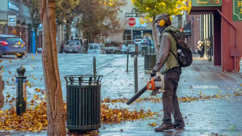 Leicht wie Luft, stark wie Sturm: Warum der Stihl BG 56 Gärten revolutioniert