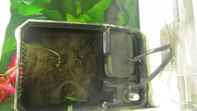 Leicht zu reinigen und super leise...ist ein Traum! von Mofafi-Liebhaber (63)