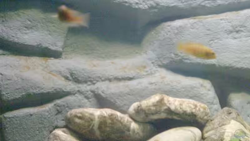 leichter Algenbewuchs von Steve Röhning (3)