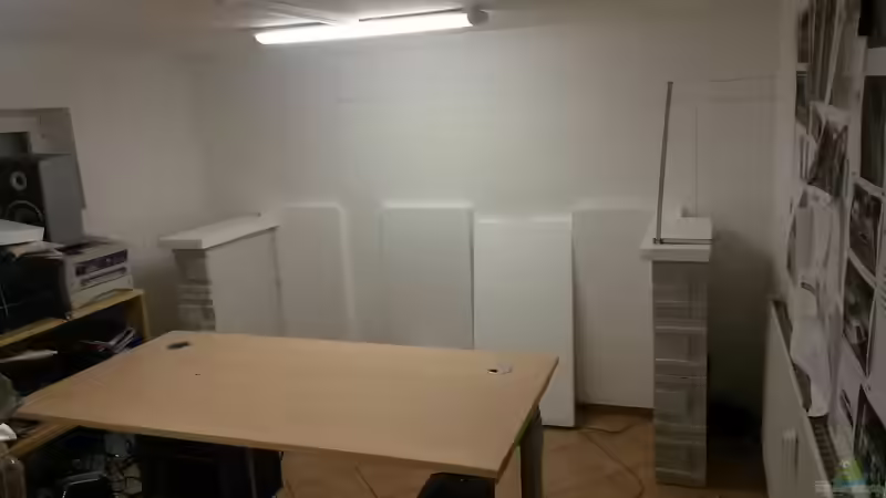 Leider beim Kauf etwas verdreht im Kopf Darum erstmal nur zwei Säulen von Beulenkopftyp (3)